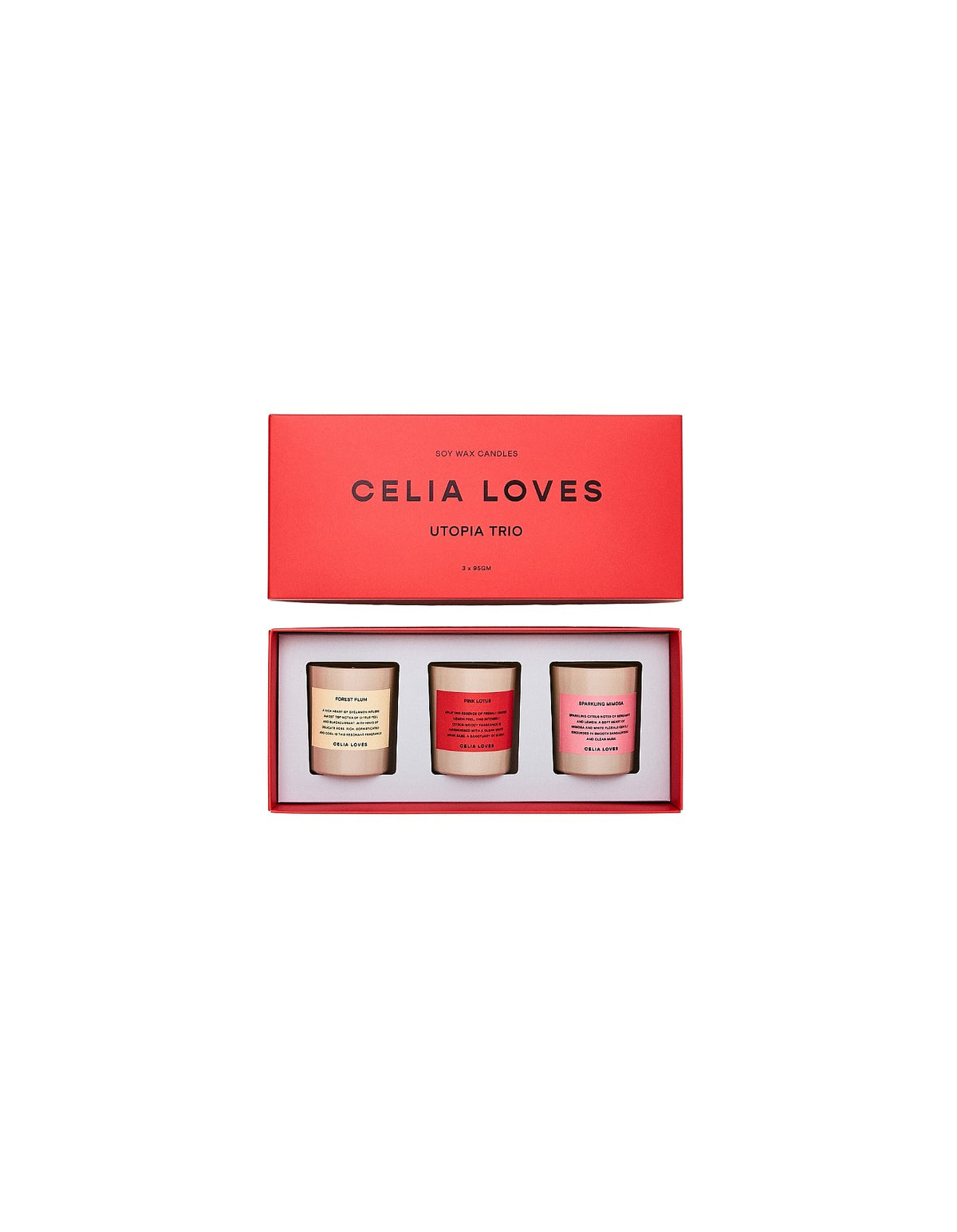 Trio Candle Set - Pink Lotus, Sparkling Mimosa, Forest Plum