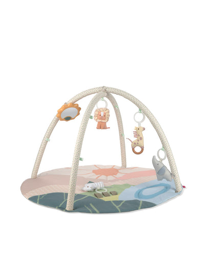 Savannah Sunset Activity Gym