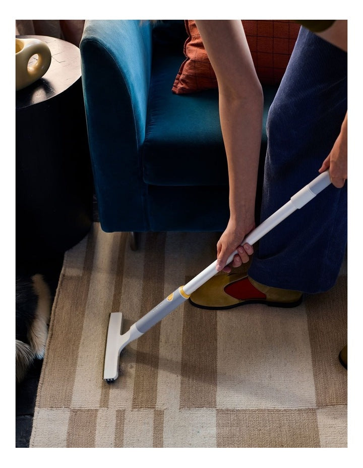 CleanTech 2-in-1 Carpet Cleaning Tool in Grey