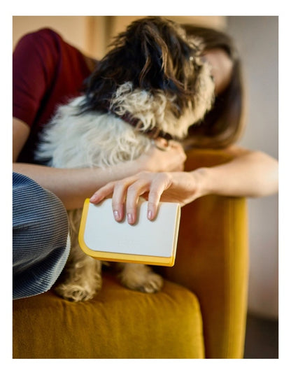 CleanTech 3-in-1 Pet Hair Cleaning Tool