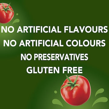 Fountain Tomato Sauce 500mL