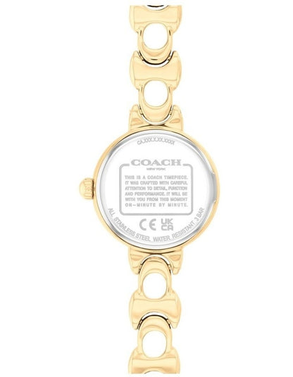 Iris Ionic Plated Thin Steel Chalk Dial Watch in Gold