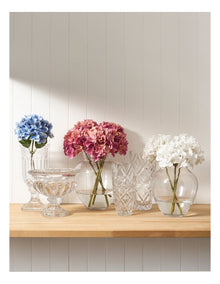 Glass Alcot Pedestal Vase 25cm