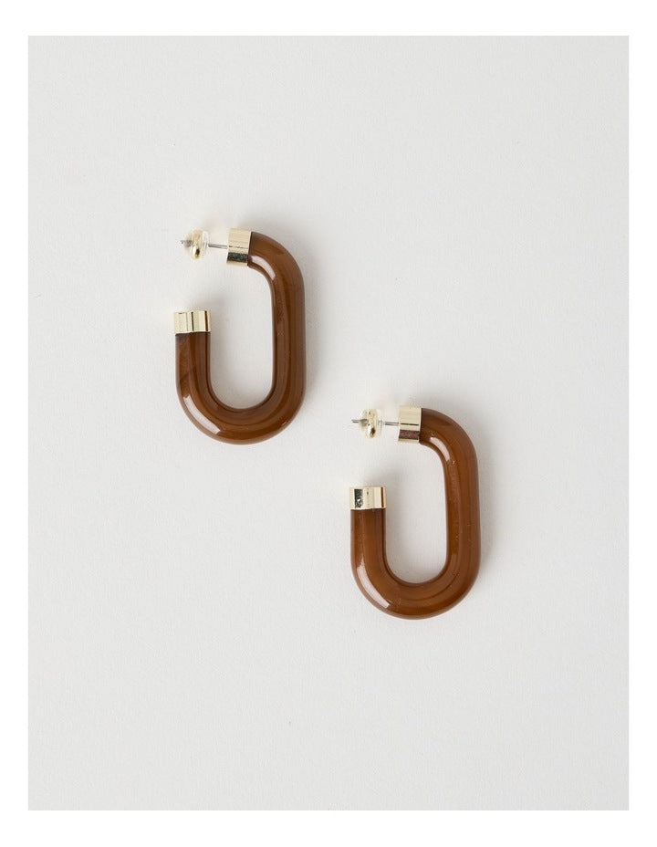 Tigereye Resin Hoop Earrings