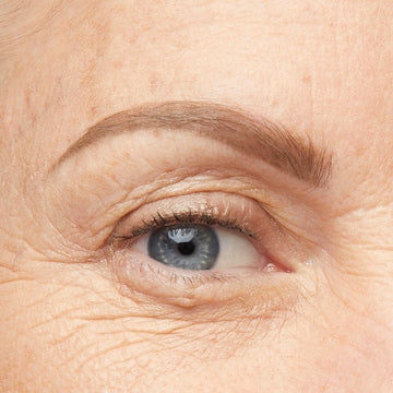 Maybelline Ultra Slim Express Brow Ash Brown each