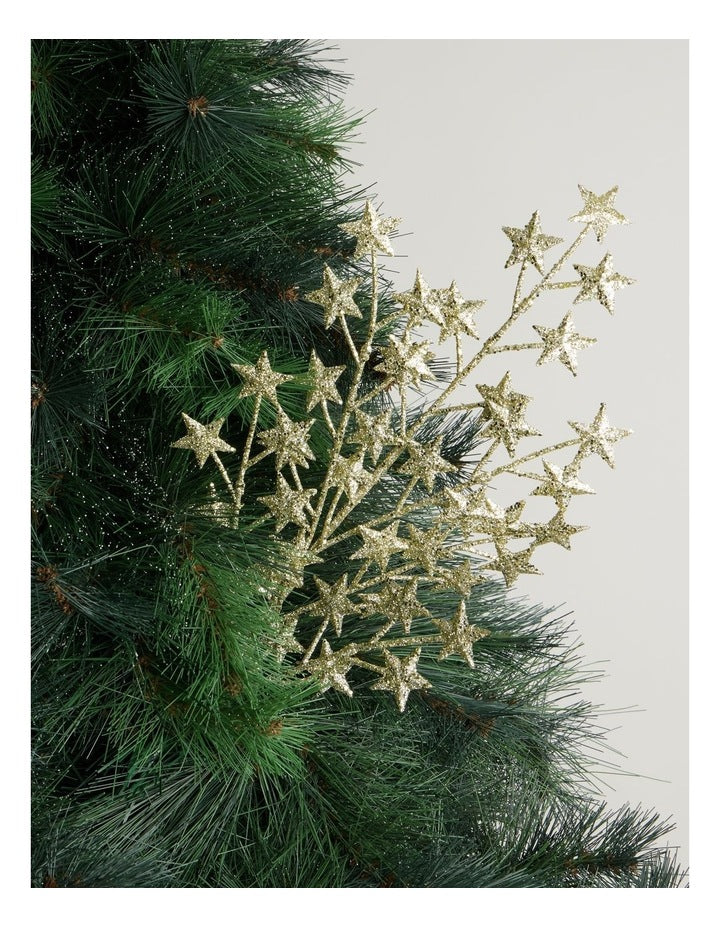 Heirloom Glitter Star Pick in Gold: 55cm