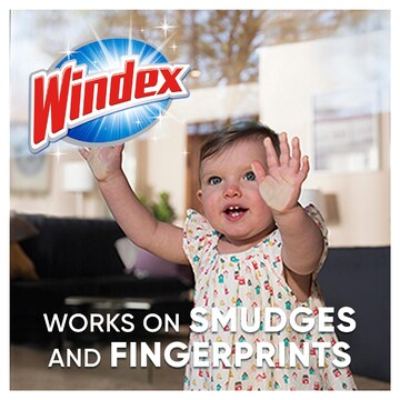 Windex Glass Cleaner Refill 750mL