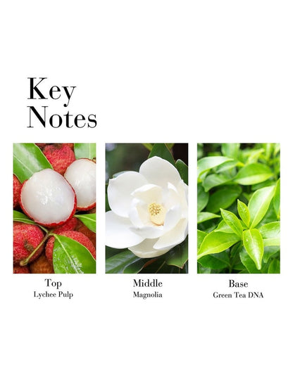 Green Tea Lychee Lime EDT 100ml