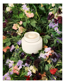 Soy Wax Melts Sweet Pea & Jasmine