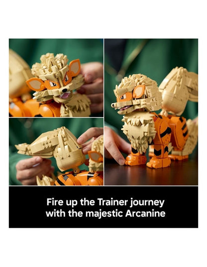 Pokémon Arcanine 72160