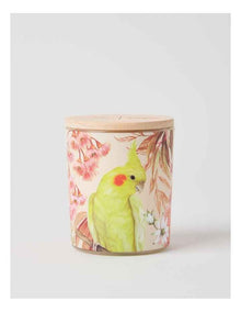Lauren Stringini Bottlebrush Candle 300g