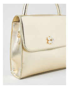 Embellished Cross Body Bag in Gold