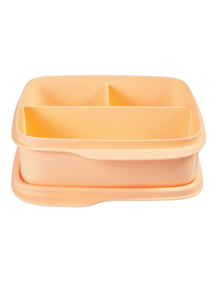 Divided Square Lunch Box 550ML Orange