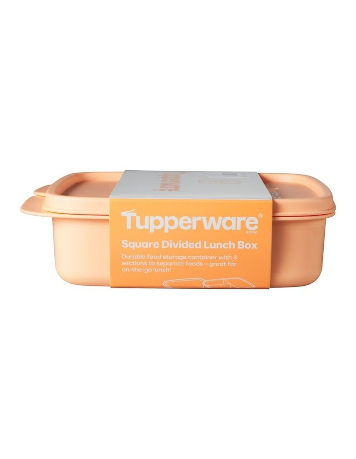Divided Square Lunch Box 550ML Orange