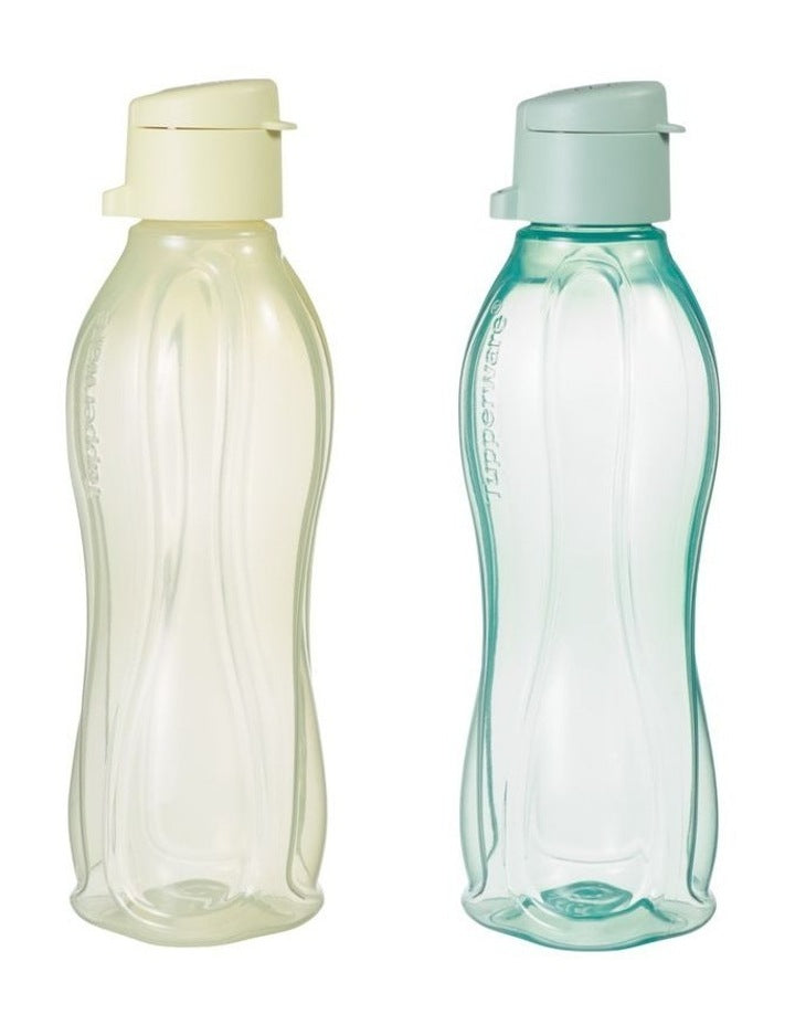 Eco Water Bottle Set of 2 500ML