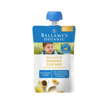 Banana Custard With Flaxseed  6 + Months