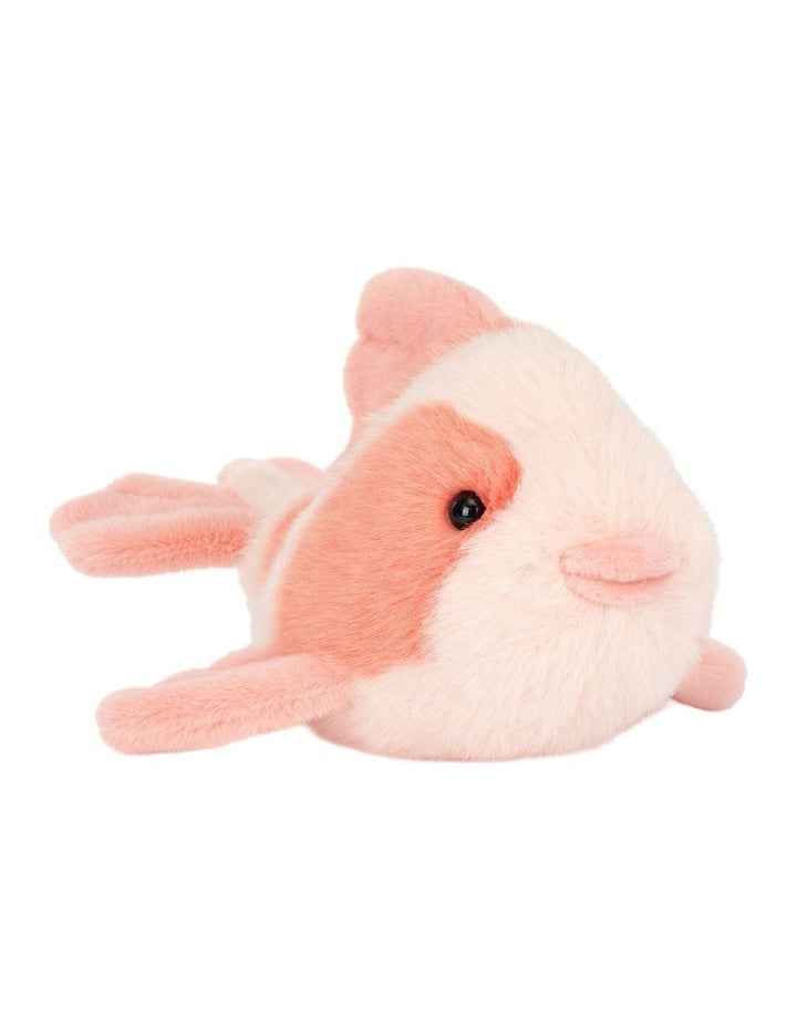 Fancy Carp