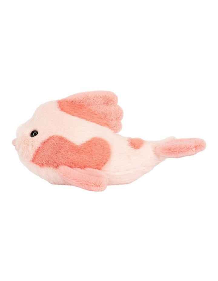 Fancy Carp