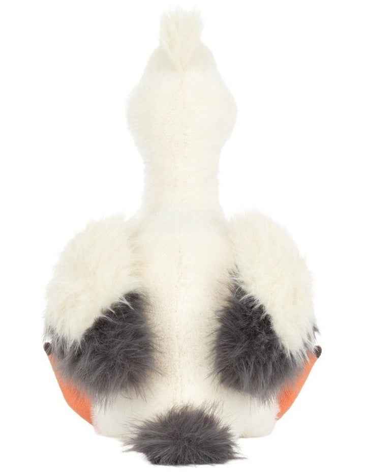 Keli Pelican