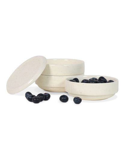 Stacking Bowl Set of 3 with Lid