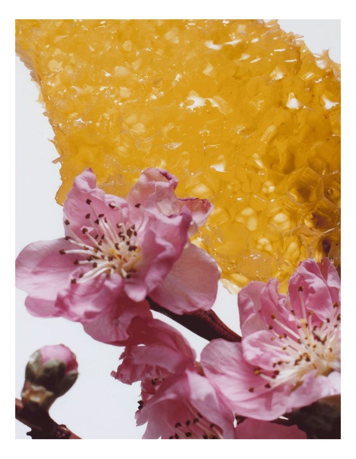 Nectarine Blossom & Honey Body & Hand Wash 250ml