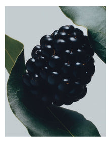 Blackberry & Bay Body & Hand Wash 250ml