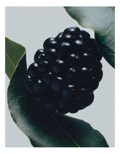 Blackberry & Bay Body & Hand Wash 250ml