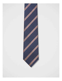 Diagonal Stripe Tie in Navy