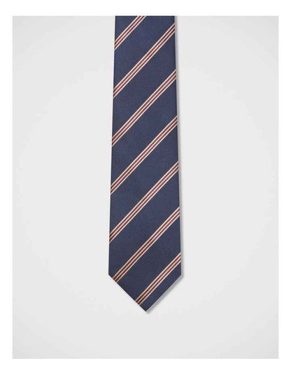 Diagonal Stripe Tie in Navy