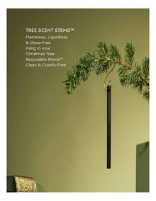 Wnter Wonderland 10 Tree Scent Stems