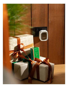 Fresh Pine Plug-in Fragrance Flask 24ml