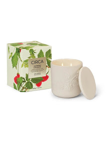 Raspberry & Rhubarb Soy Candle 300g