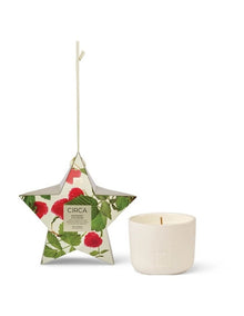 Raspberry & Rhubarb Bauble Soy Candle 70g