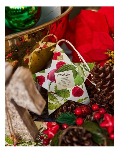 Raspberry & Rhubarb Bauble Soy Candle 70g