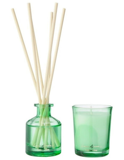 Jolly Folk Festive Pine Candle & Diffuser Set 70g & 40ML Gift Boxed