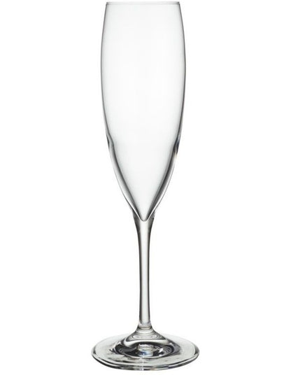 Sofia Flute 220ML Set of 4 Gift Boxed