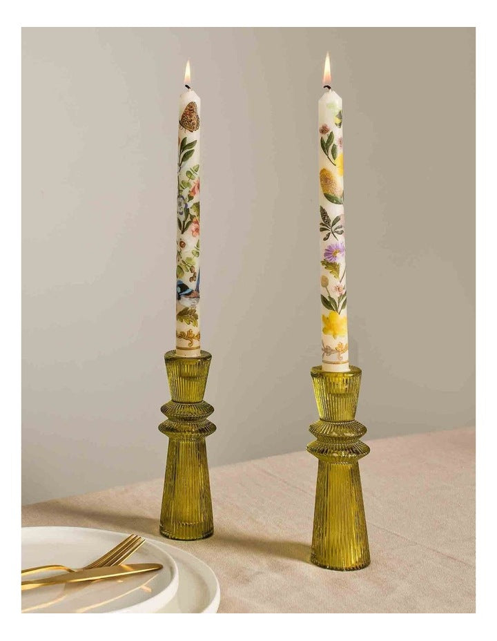 Taper Candle Set The Secret World Of The Bush