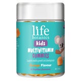 Life Botanics Kids Multi Vitamin Gummies 90 Pack