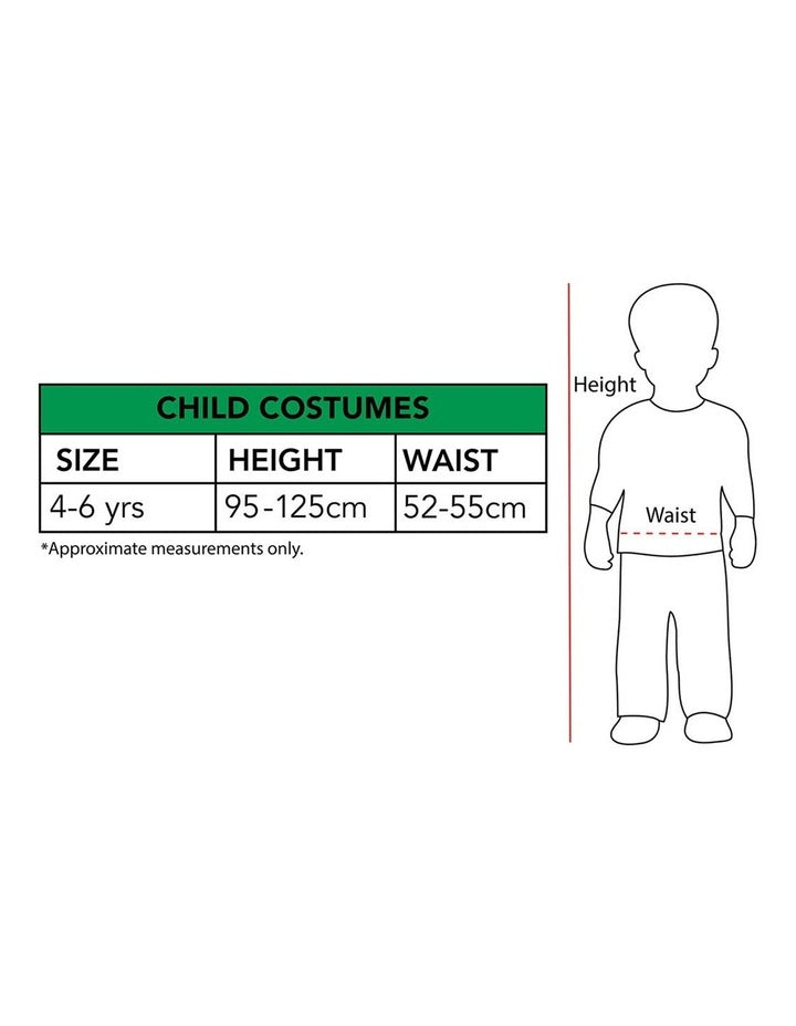 DISNEY ENCANTO MIRABEL PREMIUM CHILD COSTUME SIZE 4-6 YRS