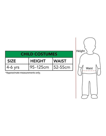 DISNEY ENCANTO MIRABEL PREMIUM CHILD COSTUME SIZE 4-6 YRS