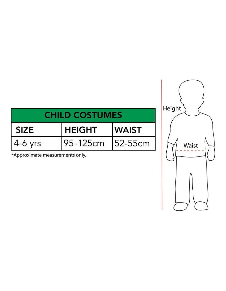DISNEY FROZEN ELSA PREMIUM CHILD COSTUME & WIG SIZE 4-6 YRS