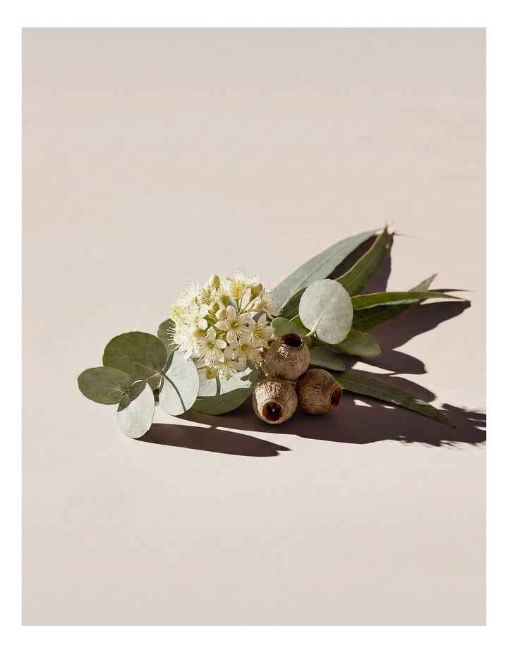 Room Spray - Willow Gum & Lemon Myrtle 100ml