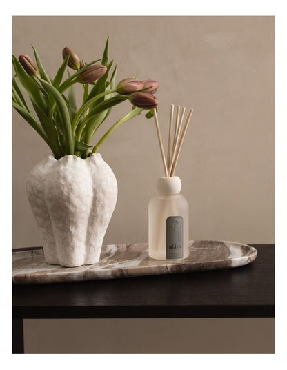 Reed Diffuser in Coconut & Wild Orange 250ml