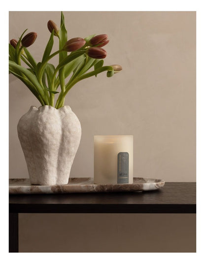 Soy Candle in Coconut & Wild Orange 330g