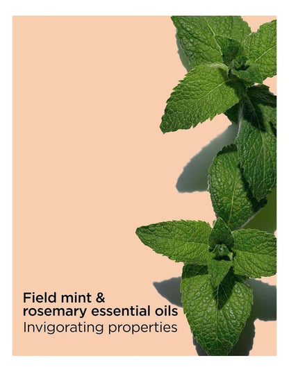 Self-Care Tonic Holiday Essentials