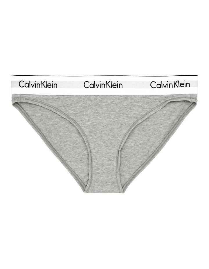 Modern Cotton Bikini Brief in Grey