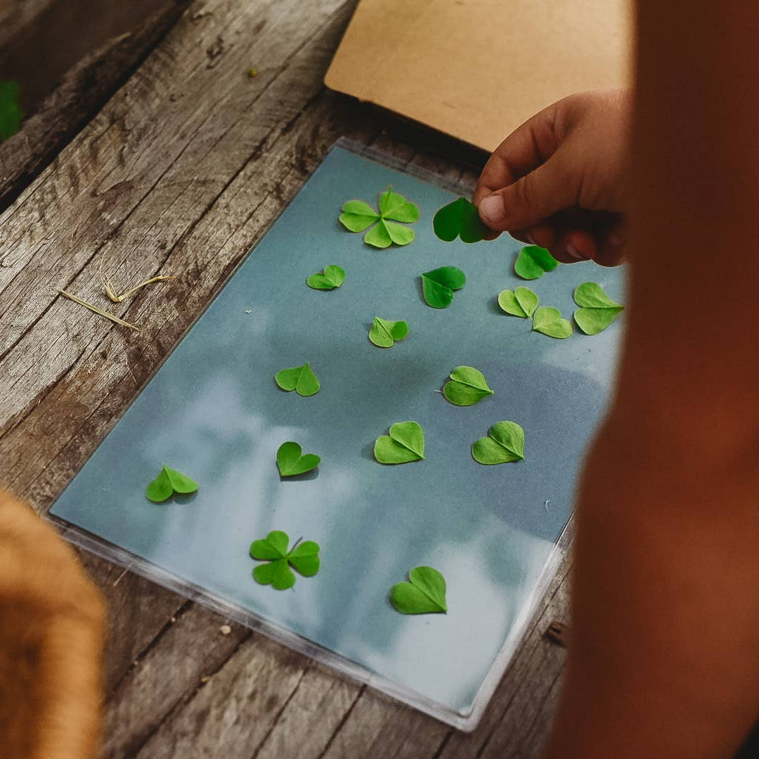 Our Earth Life Nature Print Kit Sun Printing Paper Nature Play Art and craft for kids 3yrs+