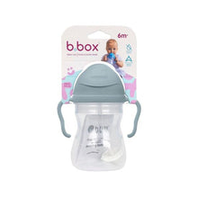 B.BOX FOR KIDS SIPPY CUP 240ML 6+ MONTHS 1 EACH