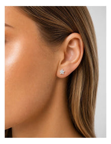 Brilliant Flower Stud Earrings in Silver