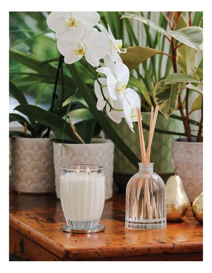 Burnt Fig & Pear Large Soy Candle 370g
